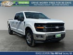 2025 F-150 Thumbnail 1