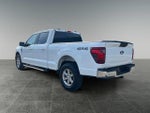 2025 F-150 Thumbnail 8