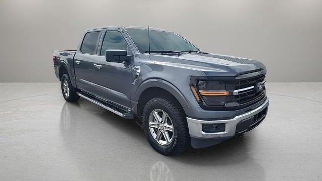 Preowned 2025 Ford F-150 XLT for Sale