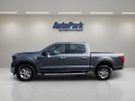 2025 F-150 Thumbnail 4