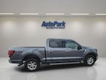 2025 F-150 Thumbnail 9