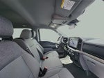 2025 F-150 Thumbnail 16