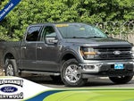 2025 F-150 Thumbnail 1