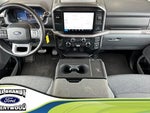 2025 F-150 Thumbnail 4