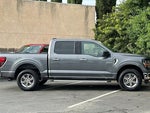 2025 F-150 Thumbnail 6