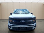 2025 F-150 Thumbnail 4