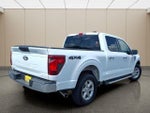 2025 F-150 Thumbnail 8