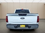 2025 F-150 Thumbnail 10