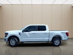 2025 F-150 Thumbnail 14