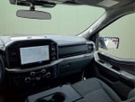 2025 F-150 Thumbnail 18