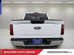 2025 F-150 Thumbnail 6