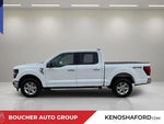 2025 F-150 Thumbnail 8