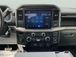 2025 F-150 Thumbnail 26