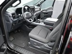 2025 F-150 Thumbnail 11