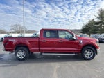 2024 F-150 Thumbnail 8