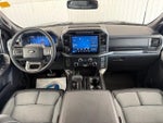 2024 F-150 Thumbnail 3