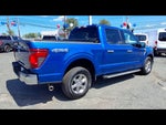 2024 F-150 Thumbnail 8
