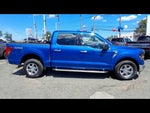 2024 F-150 Thumbnail 9