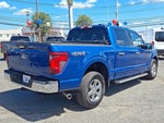 2024 F-150 Thumbnail 31
