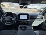 2024 F-150 Thumbnail 14