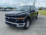 2024 F-150 Thumbnail 3