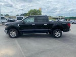 2024 F-150 Thumbnail 4