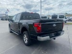 2024 F-150 Thumbnail 5