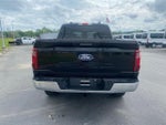 2024 F-150 Thumbnail 6