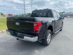 2024 F-150 Thumbnail 7