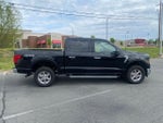 2024 F-150 Thumbnail 8