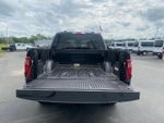 2024 F-150 Thumbnail 9