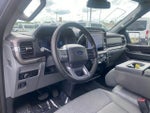 2024 F-150 Thumbnail 12