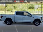 2024 F-150 Thumbnail 6