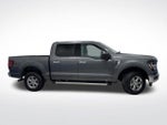 2025 F-150 Thumbnail 2