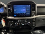 2025 F-150 Thumbnail 7