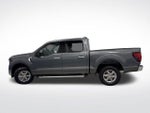 2025 F-150 Thumbnail 10