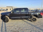 2025 F-150 Thumbnail 6