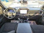 2025 F-150 Thumbnail 9