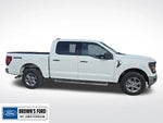 2025 F-150 Thumbnail 8