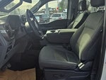 2025 F-150 Thumbnail 11