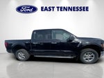 2025 F-150 Thumbnail 2