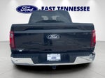 2025 F-150 Thumbnail 4