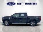 2025 F-150 Thumbnail 6