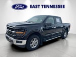 2025 F-150 Thumbnail 7