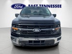 2025 F-150 Thumbnail 9
