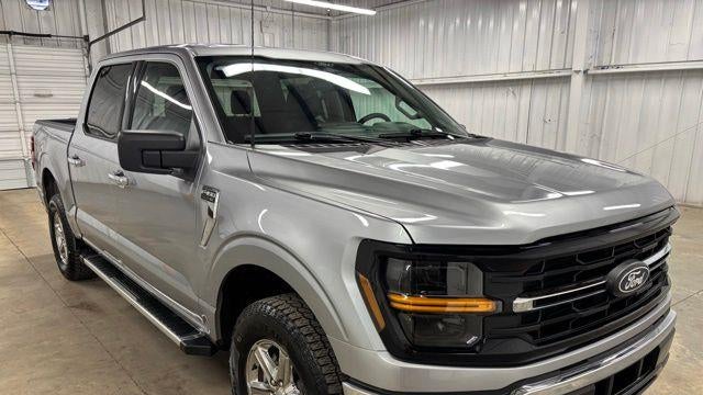 Preowned 2025 Ford F-150 XLT for Sale