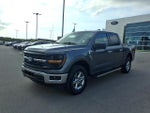 2025 F-150 Thumbnail 7