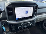 2025 F-150 Thumbnail 18