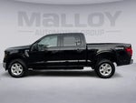 2025 F-150 Thumbnail 2