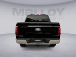 2025 F-150 Thumbnail 4